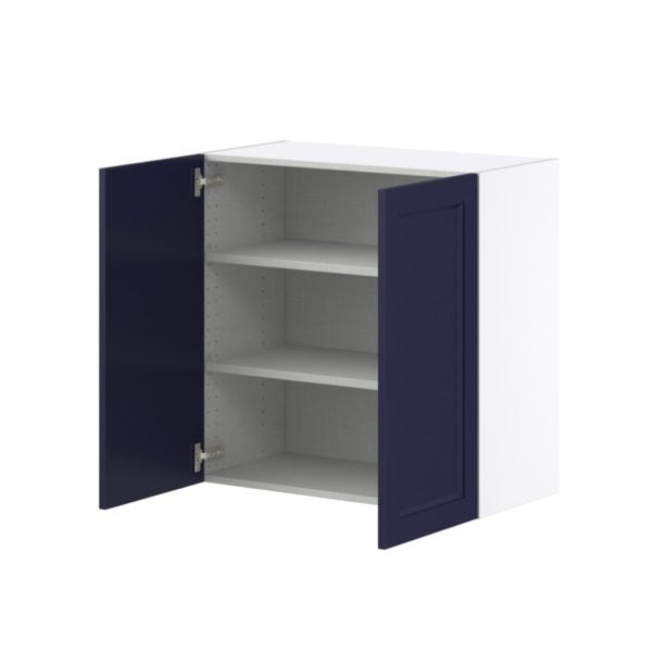 Camellia Painted Midnight Blue Recessed Assembled Wall  Cabinet with 2 Full High Doors (30 in. W x 30 in. H x 14 in. D)