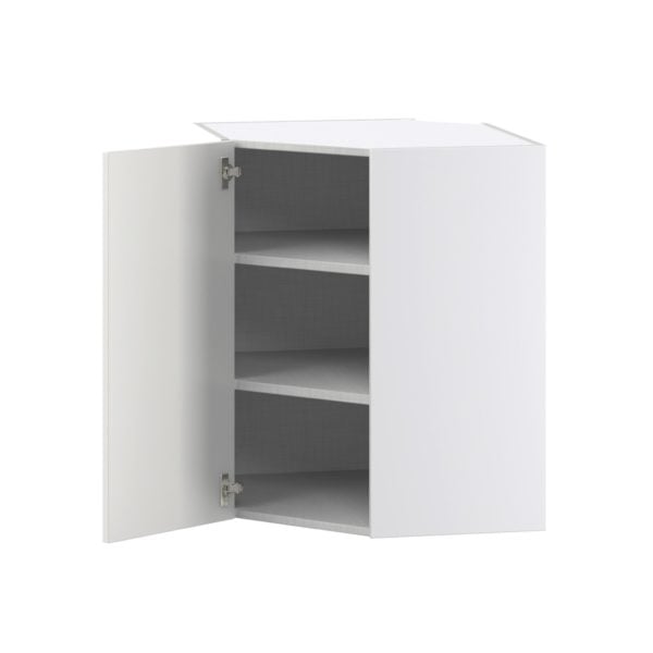 Wisteria Painted Light Gray Recessed Assembled Wall Diagonal Corner Cabinet with a Door (24 in. W x 30 in. H x 24 in. D)