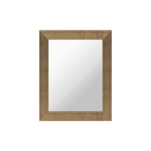 Iris 24"W x 30"H Almond Brown Framed Mirror