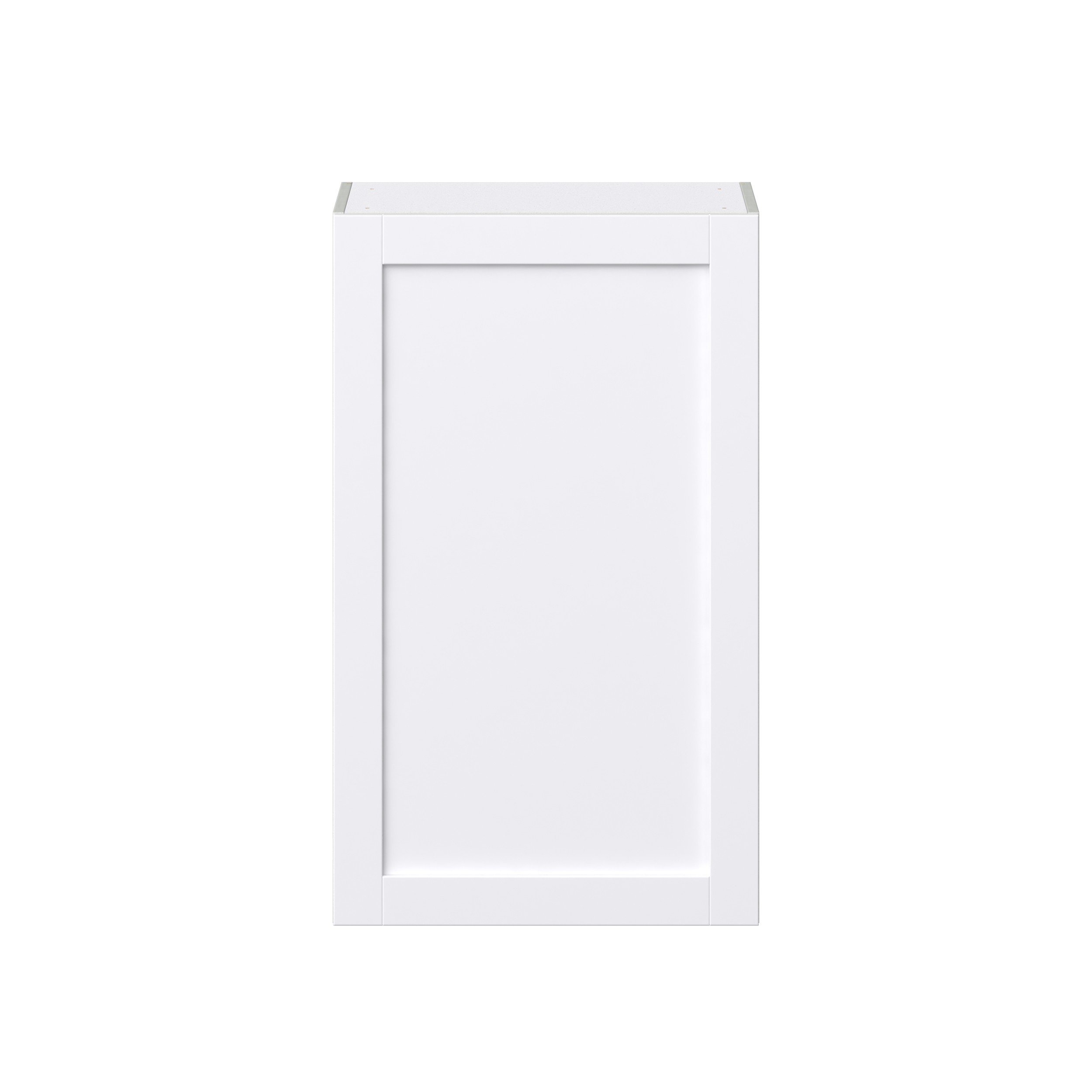 Dahlia Bright White Shaker Assembled Wall Cabinet with Full High Door (24 in. W x 40 in. H x 14 in. D)