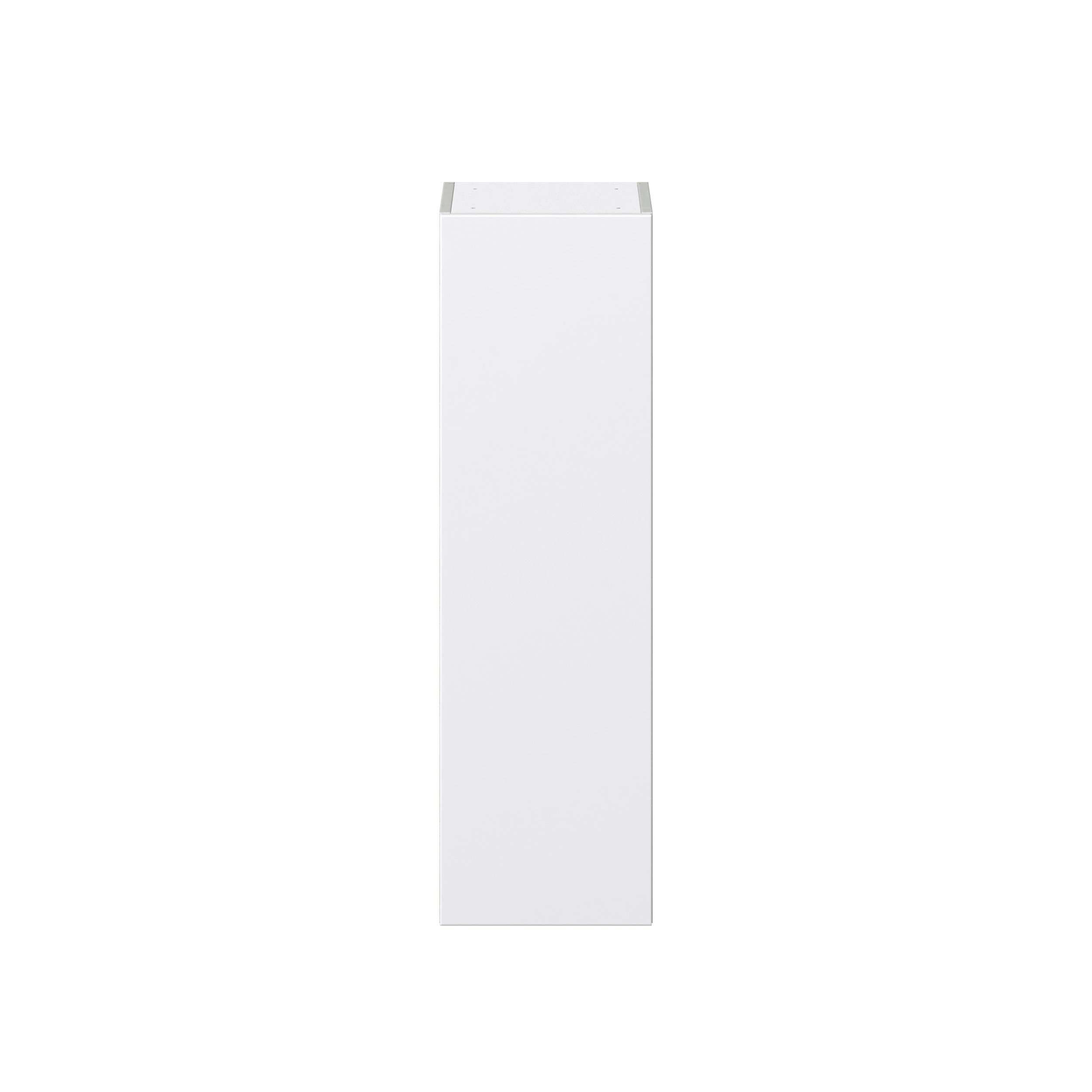 Lily Bright White Slab Assembled Wall Cabinet with Full High Door (12 in. W x 40 in. H x 14 in. D)