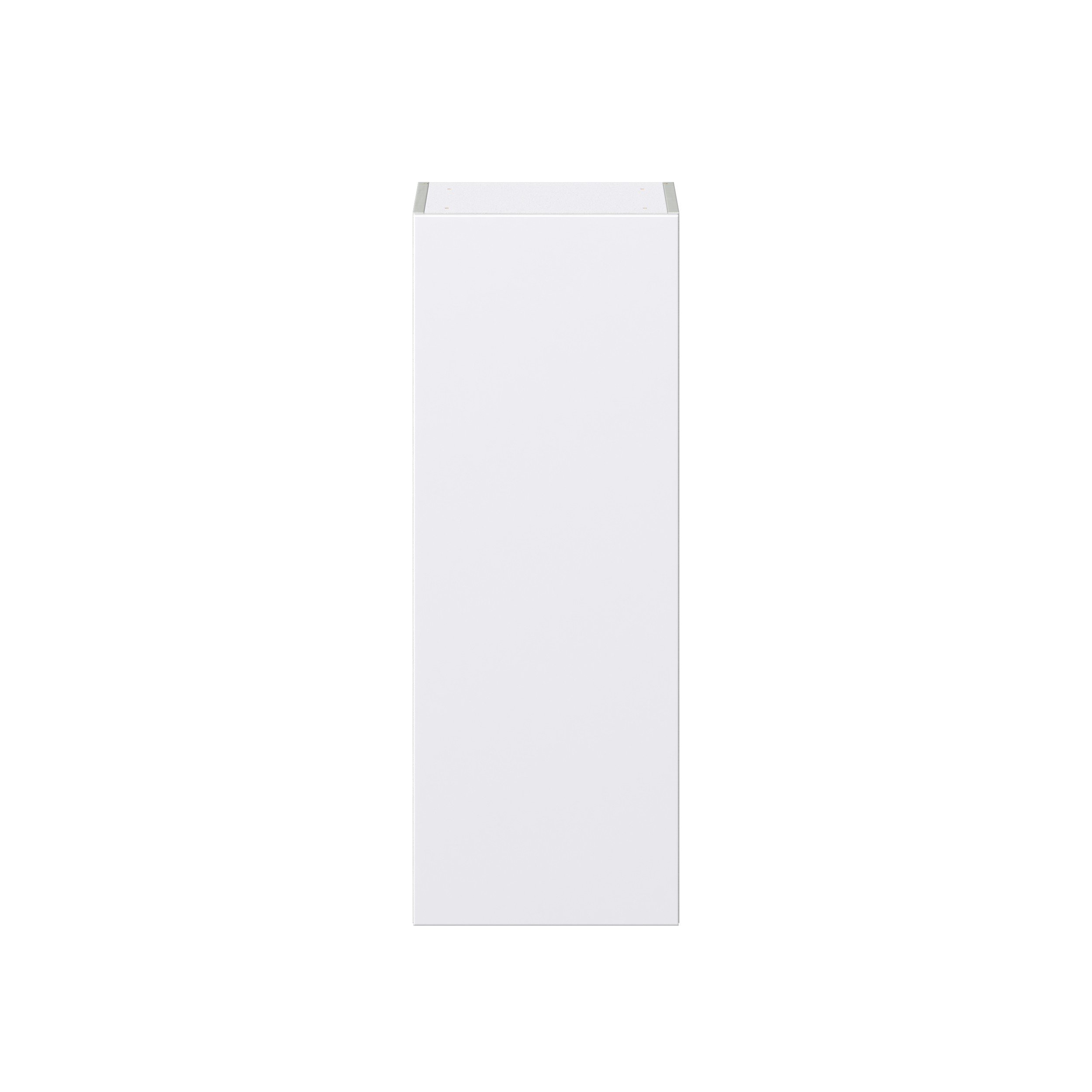 Lily Bright White Slab Assembled Wall Cabinet with Full High Door (15 in. W x 40 in. H x 14 in. D)