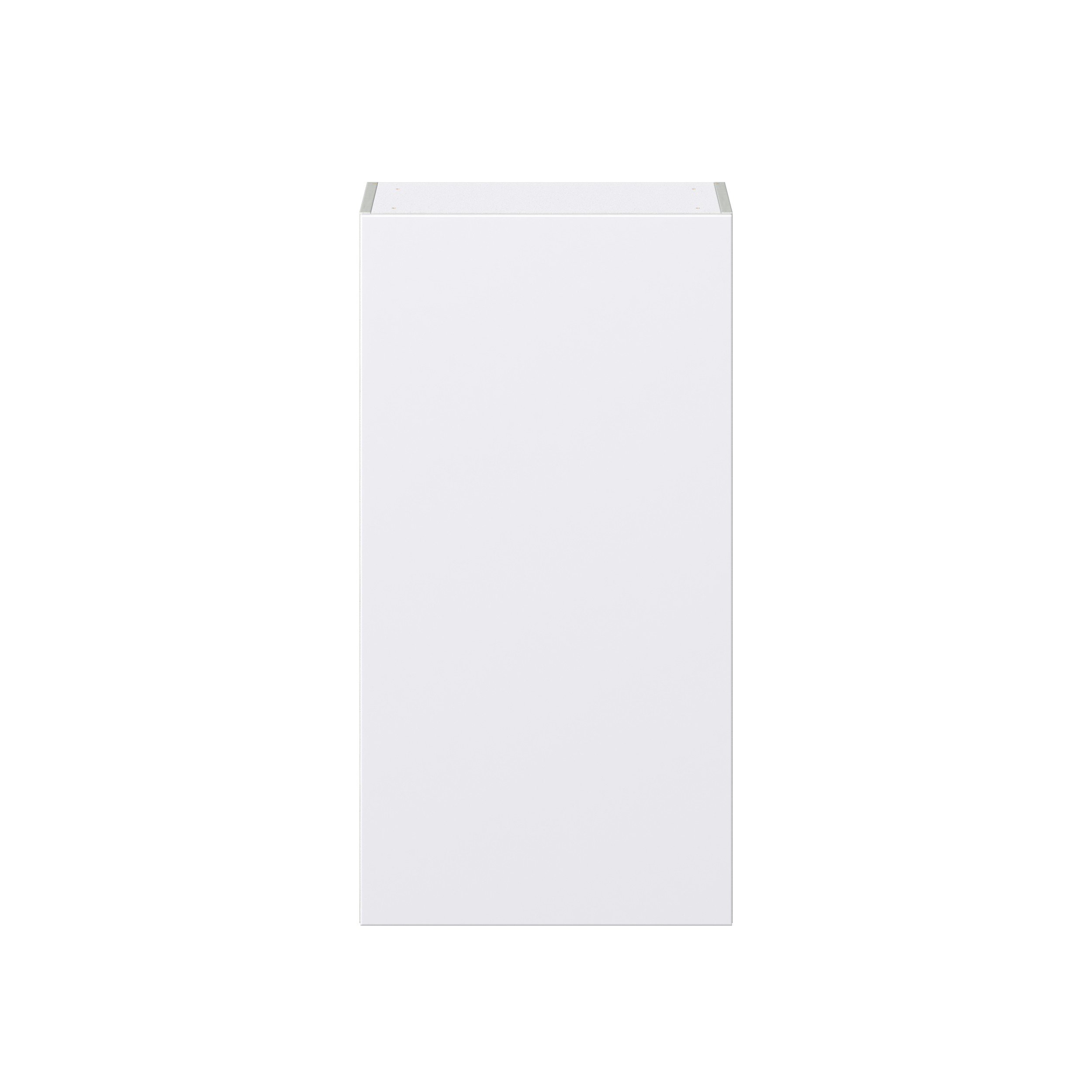 Lily Bright White Slab Assembled Wall Cabinet with Full High Door (21 in. W x 40 in. H x 14 in. D)