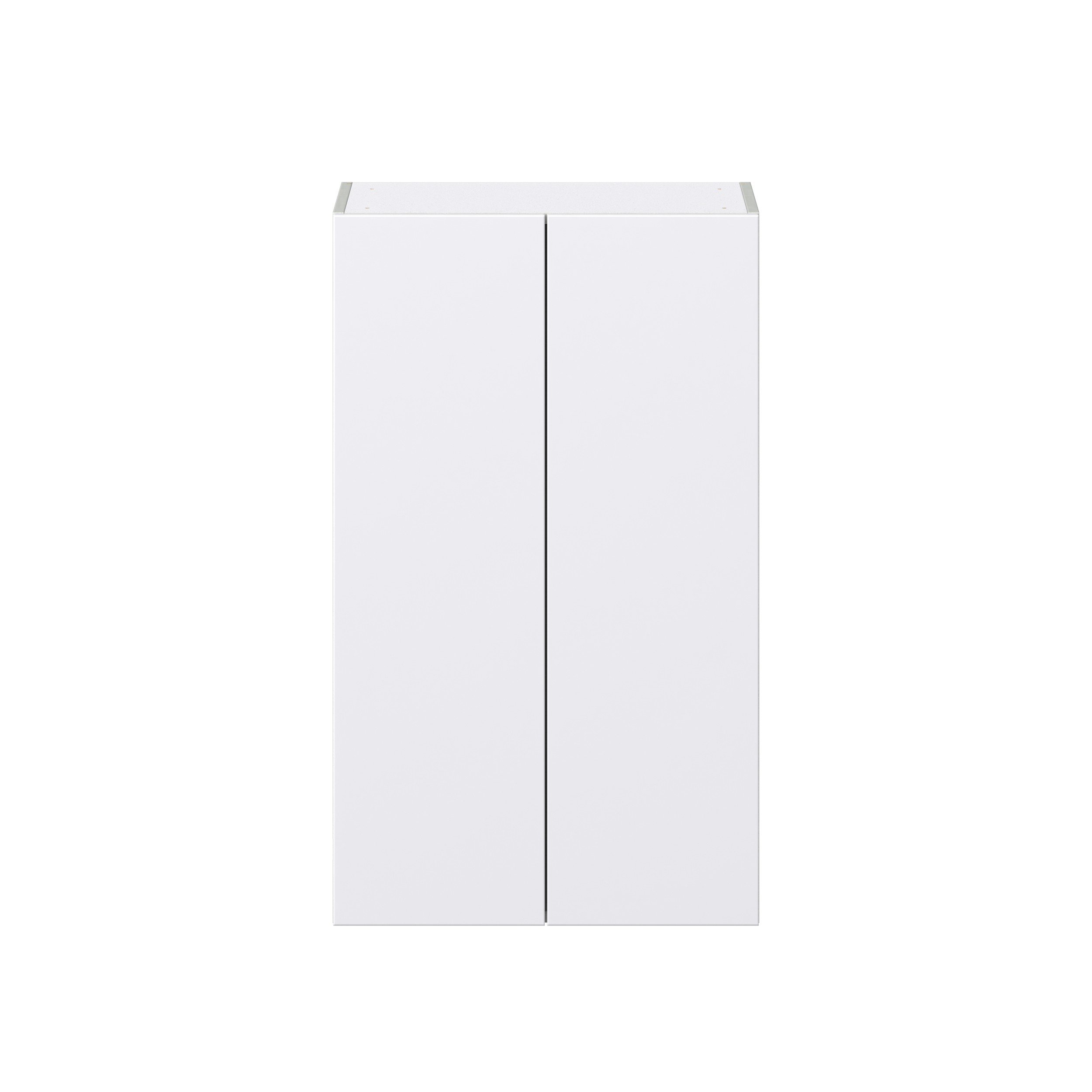 Lily Bright White Slab Assembled Wall Cabinet with 2 Full High Doors (24 in. W x 40 in. H x 14 in. D)