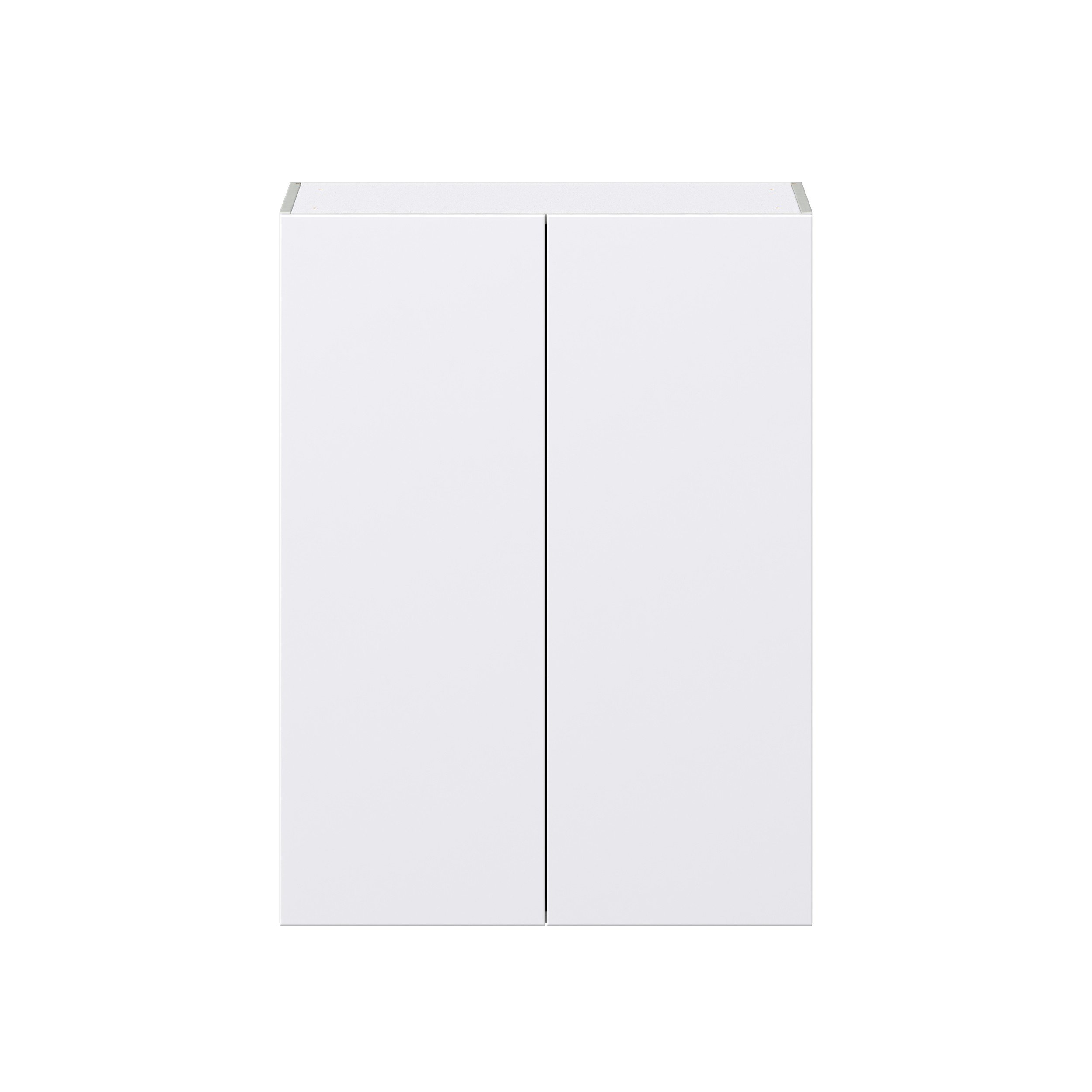 Lily Bright White Slab Assembled Wall Cabinet with 2 Full High Doors (30 in. W x 40 in. H x 14 in. D)