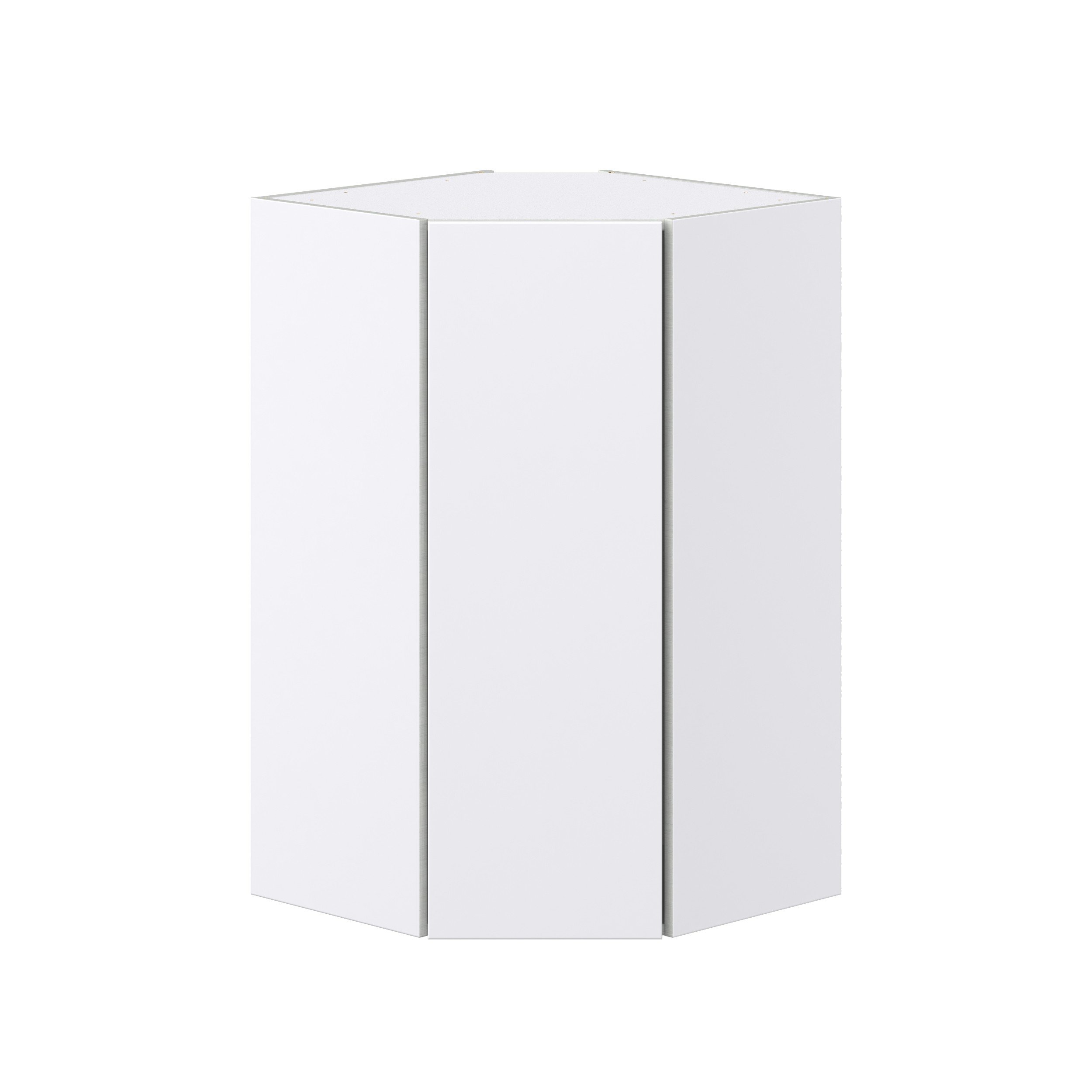 Lily Bright White Slab Assembled Wall Diagonal Corner Cabinet with a Door (24 in. W x 40 in. H x 24 in. D)