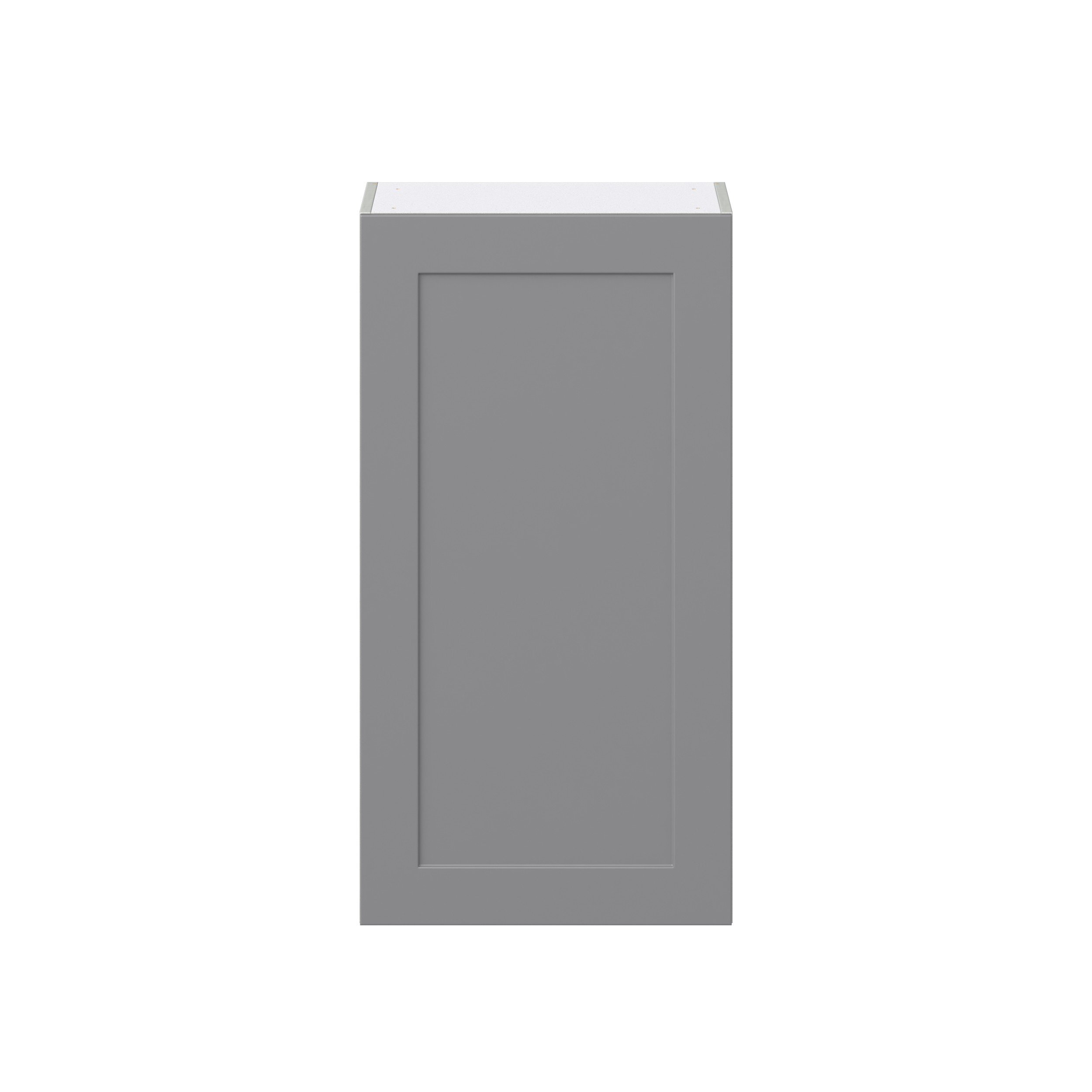 Willow Painted Slate Gray Shaker Assembled Wall Cabinet with Full High Door (21 in. W x 40 in. H x 14 in. D)