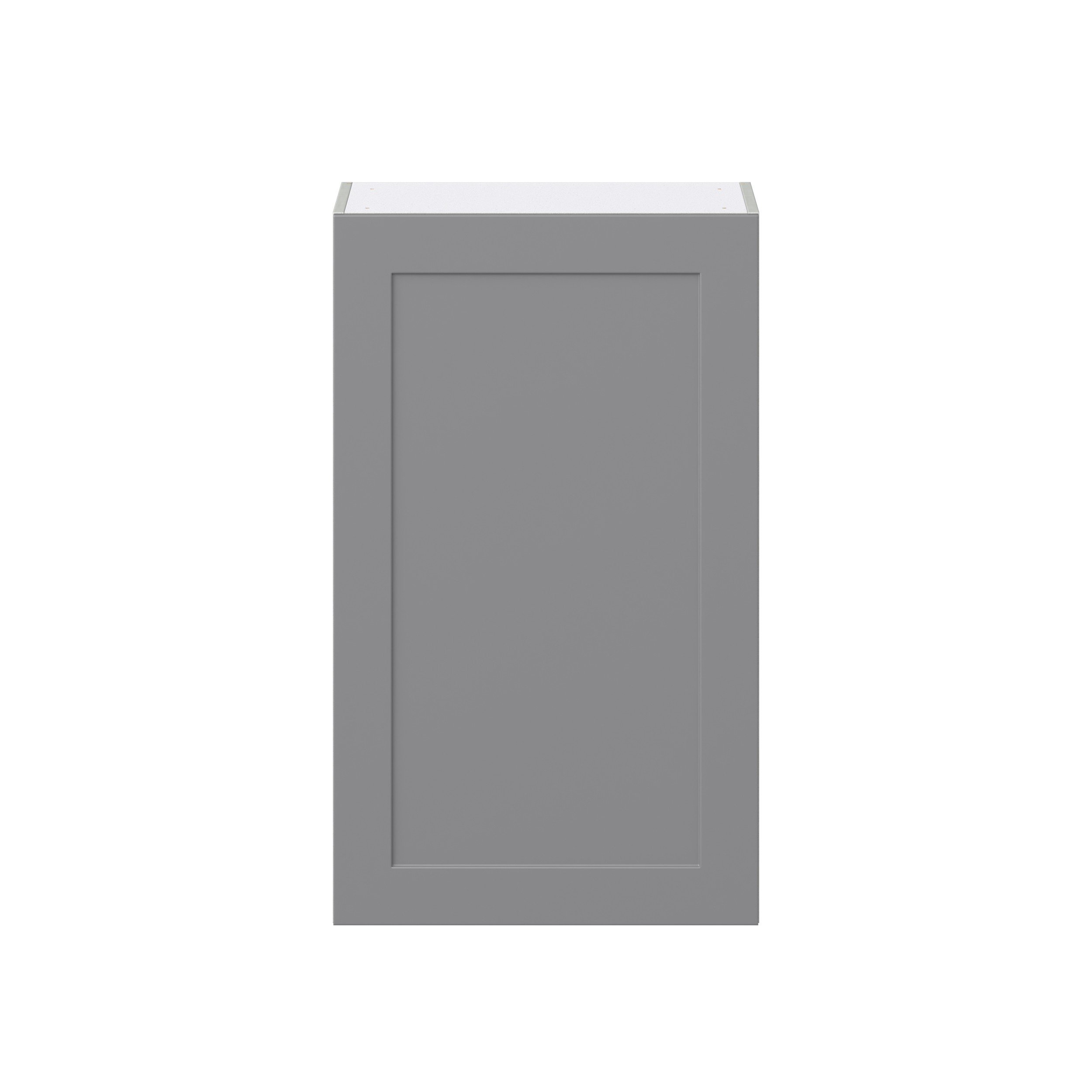 Willow Painted Slate Gray Shaker Assembled Wall Cabinet with Full High Door (24 in. W x 40 in. H x 14 in. D)